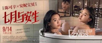 国产女同精品9,细腻情感与独特视角的青春共鸣 第3张 国产女同精品9,细腻情感与独特视角的青春共鸣 第3张