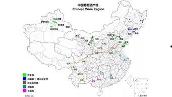 国产自产区,打造民族品牌新引擎 第2张 国产自产区,打造民族品牌新引擎 第2张